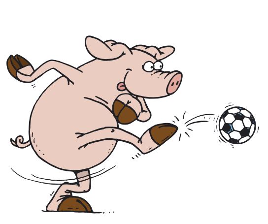 varkens voetbal
